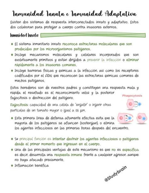 Inmunidad Innata E Inmunidad Adaptativa Study Brain Med UDocz