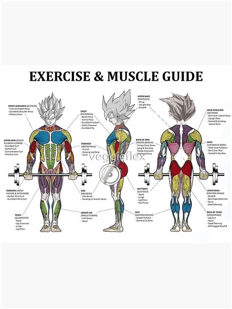 Anatomy Chart Muscle Diagram Anime Workout Inspirational Premium