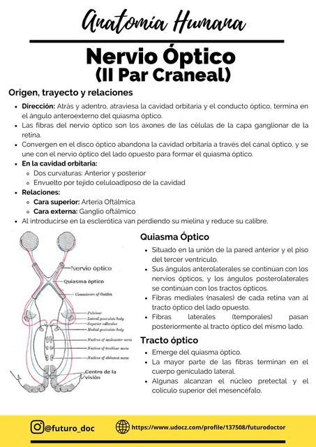 Pares Craneales Nervio Óptico II Par Futuro Doctor uDocz