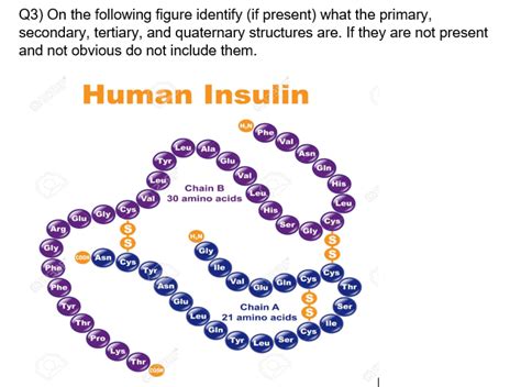 Tertiary Structure Of Insulin