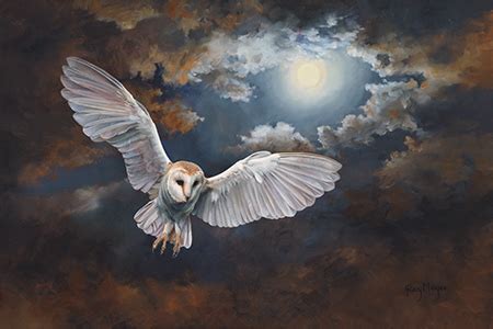 All The Owls Hilary Mayes Wildlife Artist