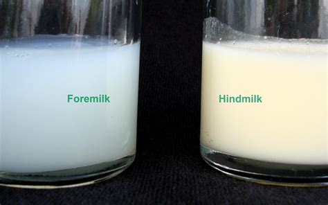 Fakta Tentang Hindmilk Dan Foremilk Yang Harus Bunda Tahu