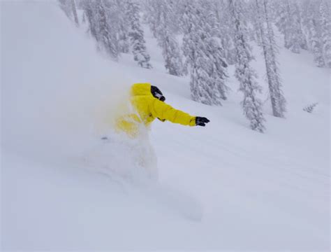 Wolf Creek Ski Area Receives 29 Inches Of Fresh Snow In Latest Storm