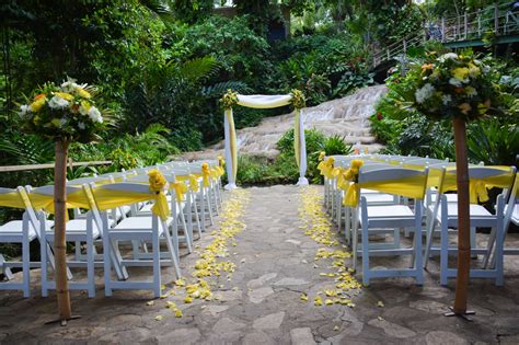 Ocho Rios Cascading Waterfall Location Category Ocho Rios