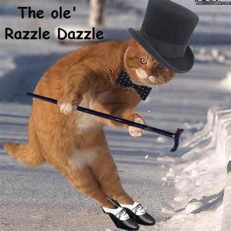 Cat | The Ol Razzle Dazzle | Know Your Meme