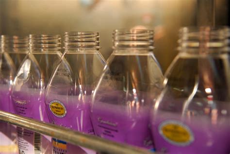 Dubais Camelicious Sees Potential European Us Market For Camel Milk