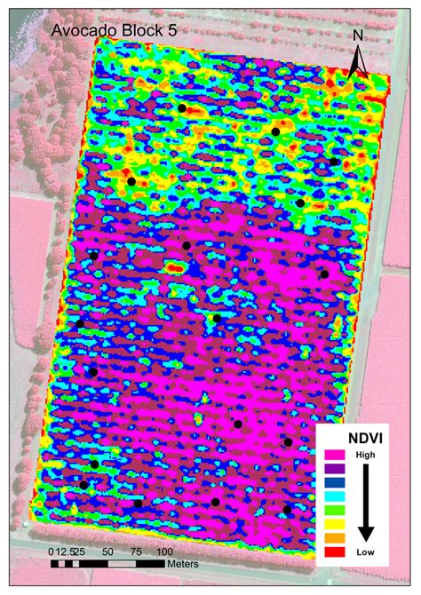 Classified Normalised Difference Vegetation Index (NDVI) images of the ...