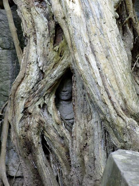 Vezes Em Que A Natureza Se Mostrou Abastante Assustadora