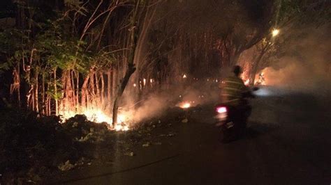 Warga Panik Lahan Kebun Jati Di Pinggir Jalan Lam Manyang Peukan Bada