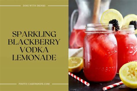 28 Blackberry Vodka Cocktails That Will Shake Up Your Night Dinewithdrinks