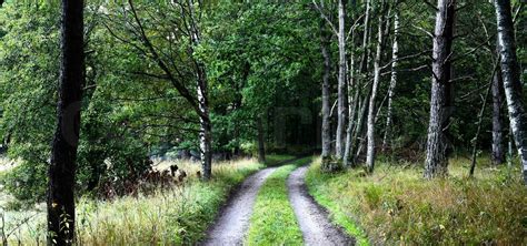 Naturen i det sydlige Sverige i Skåne Stock foto Colourbox