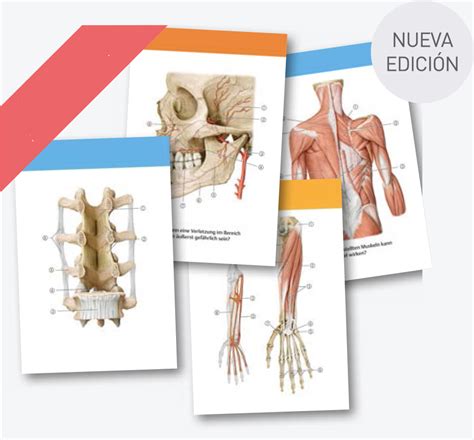 Prometheus Atlas De Anatomia‚ Fichas De Autoevaluación‚ 3 Tomos