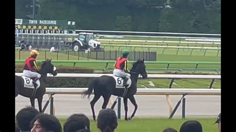 【現地映像】クロワデュノール Vs アルレッキーノ伝説の新馬戦 返し馬 東京5r 2歳新馬 1467の好タイムで勝利 ️歴代2歳no1級