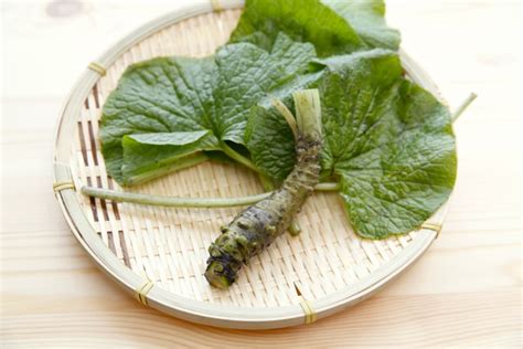 How Is Japanese Wasabi Made Hiro8 Japanese Culture Blog