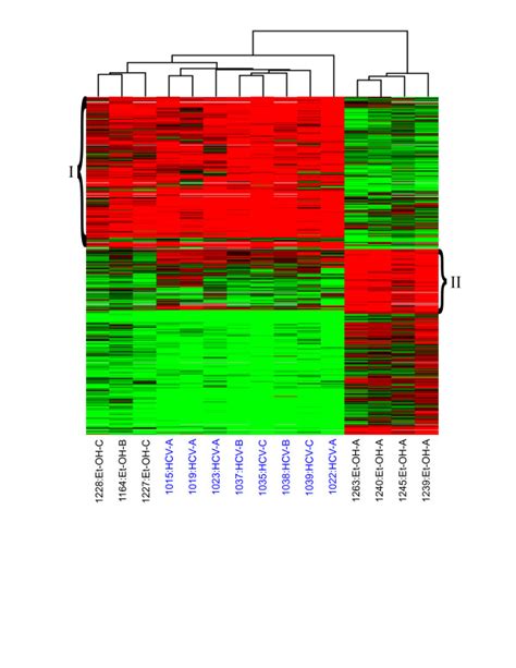 Differences In Global Gene Expression Profiles Between Ethanol Induced