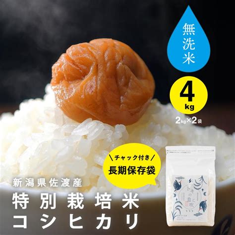 無洗米 4kg 2kg×2袋 コシヒカリ 新潟 佐渡 特別栽培米 こしひかり 令和4年産 送料無料 Toki Musenmai 4kg