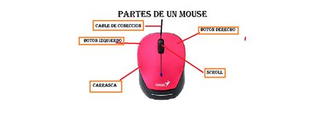 Partes Internas De Un Mouse YouTube