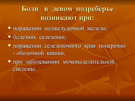 Правое и левое подреберье: расположение, границы и проекции органов