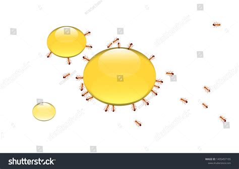 Fire Ant Over 573 Royalty Free Licensable Stock Vectors And Vector Art
