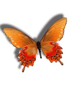 Animated Butterflies Flying - ClipArt Best