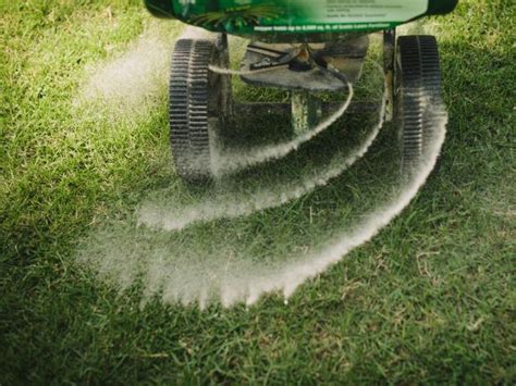 Learn How To Fertilize Your Lawn Hgtv