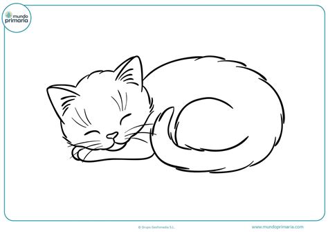 Cartoon Cat Stretching Cute Simple White Cat Drawing Vector Line Art