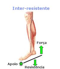 Biomecânica Dr Sergio