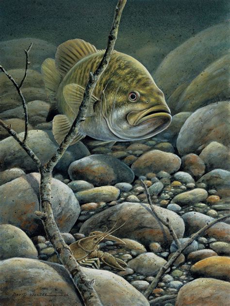 Confrontation—smallmouth Bass Original Artwork Fish Artwork Fish Art