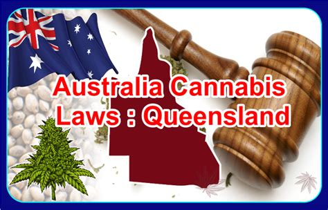 Australia Cannabis Laws Queensland Offences And Penalties Aussie