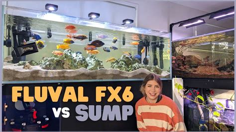 Fx6 Canister Filter Versus Sump Filtration Which Is Better Youtube