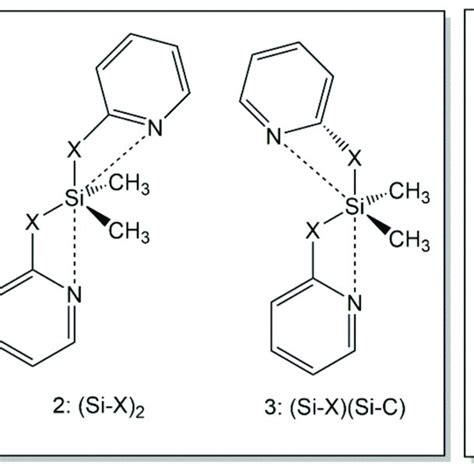 A Different Conformers Of Compounds 2 I E Of The Type Me 2 Si Pyx Download Scientific