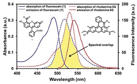 Absorption And Fluorescence Spectra Of Donor Acceptor Pair The Yellow