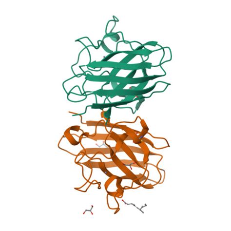 RCSB PDB 7XX3 Crystal Structure Of Human Superoxide Dismutase SOD1