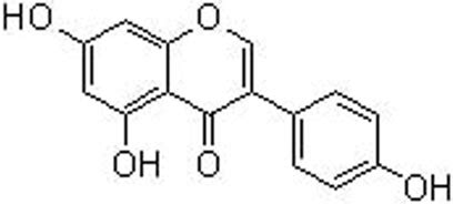 Frontiers The Protective Activity Of Genistein Against Bone And