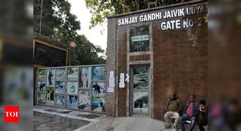 Patna zoo likely to reopen soon | Patna News - Times of India