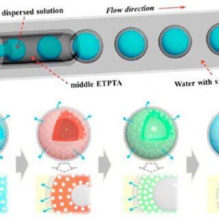 Schematic Representation Of Microfluidic Chip And Asymmetric Droplet