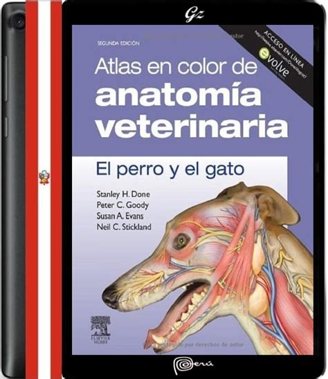 Libro Atlas En Color Anatomía Veterinaria El Perro Gato S 20 00 en