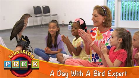 A Day With A Bird Expert Virtual Field Trip Kidvision Pre K Youtube