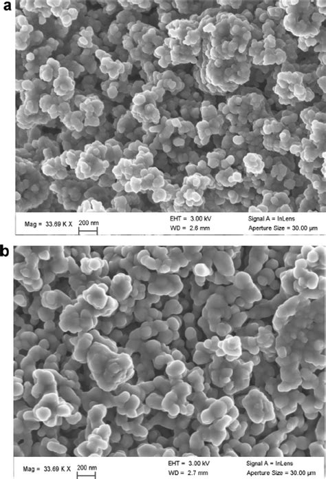 SEM Micrographs Of HA Powders Calcined At A 800 C B 900 C