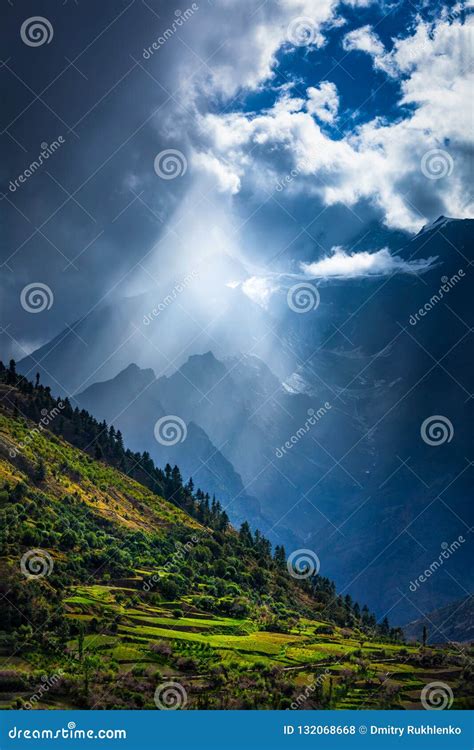 Valley In The Himalayas Under Cultivation Royalty-Free Stock ...