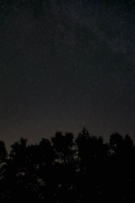 тапети : звездно небе, звезди, нощ, дървета, тъмен 4000x6000 - goodfon ...