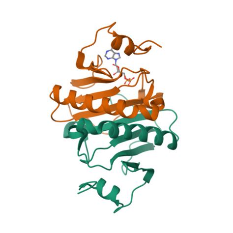 Rcsb Pdb O I Crystal Structure Of Human Histidine Triad Nucleotide