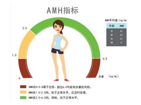 Amh与年龄正常值对照表 Amh检查流程、时间及偏低原因 柚喜学园