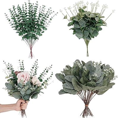 Amazon 12 Pcs Mixed Real Dried Eucalyptus Leaves Stems Preserved