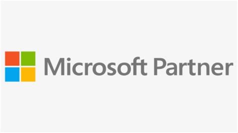 Microsoft Partner Logo