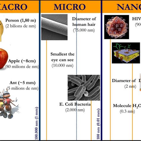 approach   macroscale  nanoscale  scientific diagram
