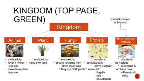 Taxonomy Foldable Ppt Ppt Free Download