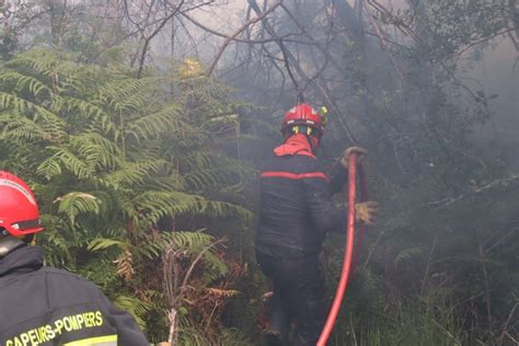 Incendies En Gironde Le Feu De Landiras Est Fixé Tous Les évacués