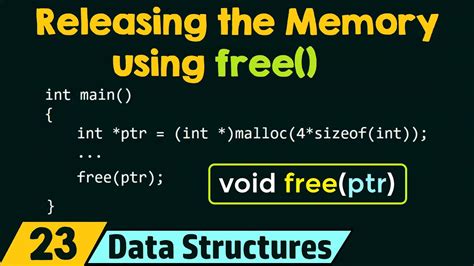 What Is Free In C The Correct Answer Ecurrencythailand