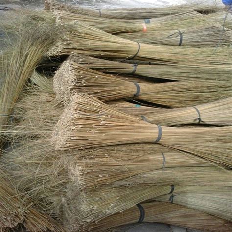 Floor Cleaning Coconut Broom Packed In Piece At Rs 30 Piece Oragadam